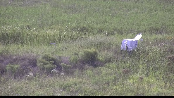 capture-5-23-08-11_17-24-42-19