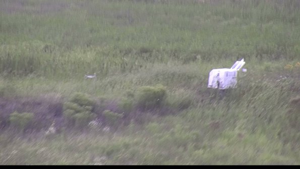 capture-5-23-08-11_17-28-42-03