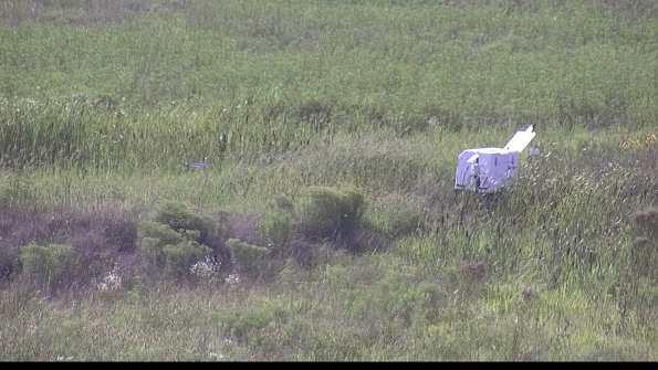 capture-5-23-08-11_17-30-42-09