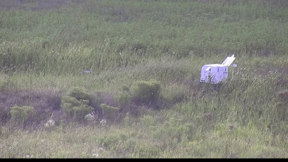 capture-5-23-08-11_17-50-41-96