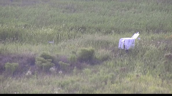 capture-5-23-08-11_18-10-41-43