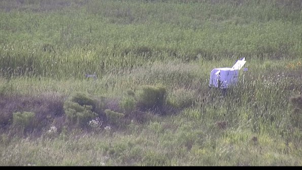 capture-5-23-08-11_18-12-41-95