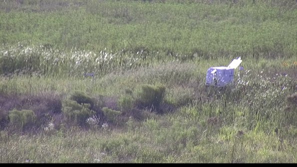 capture-5-23-08-11_18-14-42-07