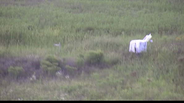 capture-5-23-08-11_18-26-41-39