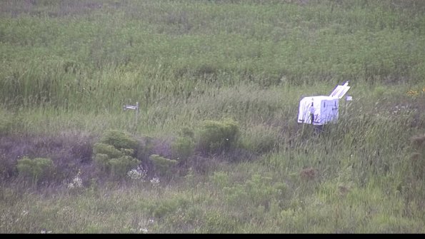 capture-5-23-08-11_18-28-42-18