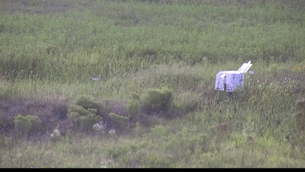 capture-5-23-08-11_18-50-42-14