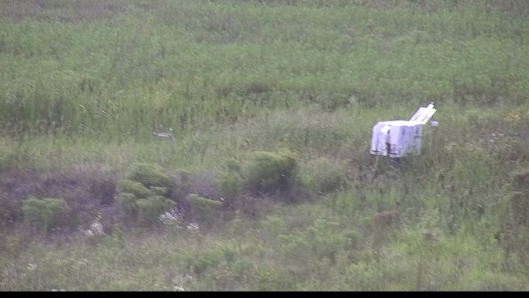 capture-5-23-08-11_19-00-42-01