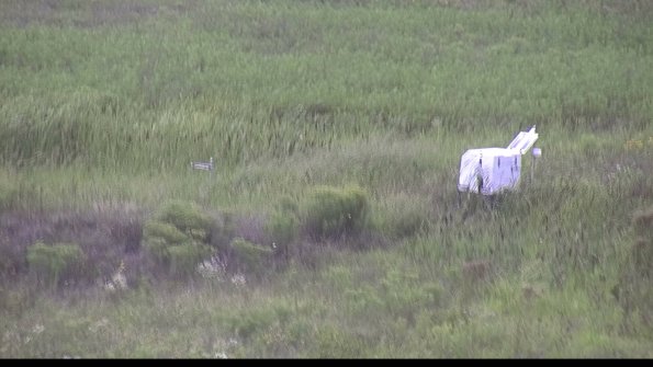 capture-5-23-08-11_19-02-41-63