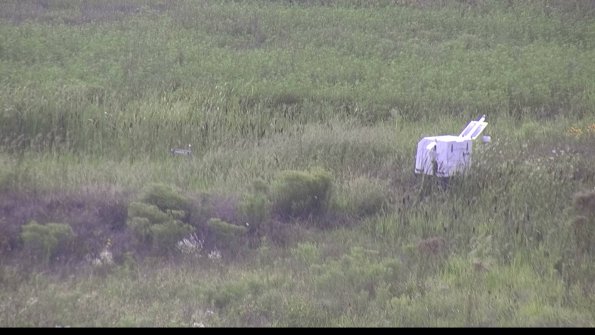 capture-5-23-08-11_19-08-41-99