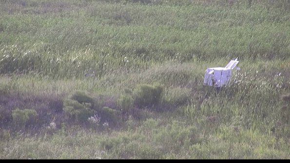 capture-5-23-08-11_19-10-41-81