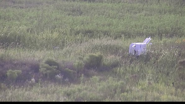 capture-5-23-08-11_19-18-42-03