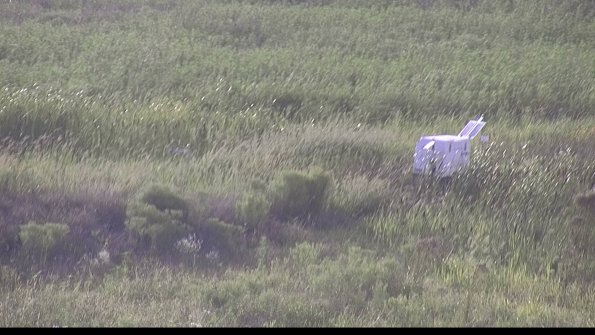 capture-5-23-08-11_19-24-42-09