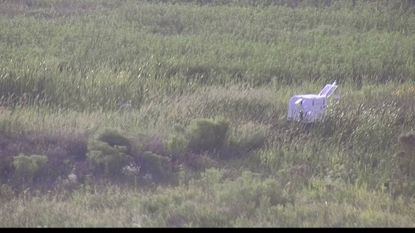 capture-5-23-08-11_19-26-42-11