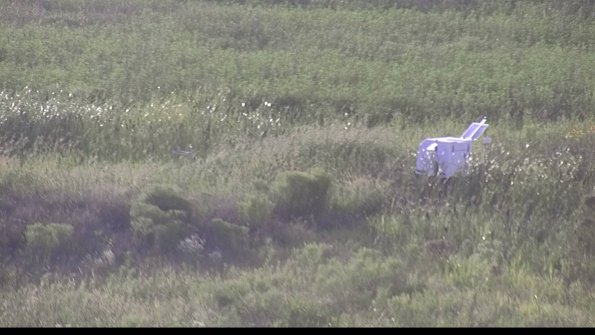 capture-5-23-08-11_19-28-41-83