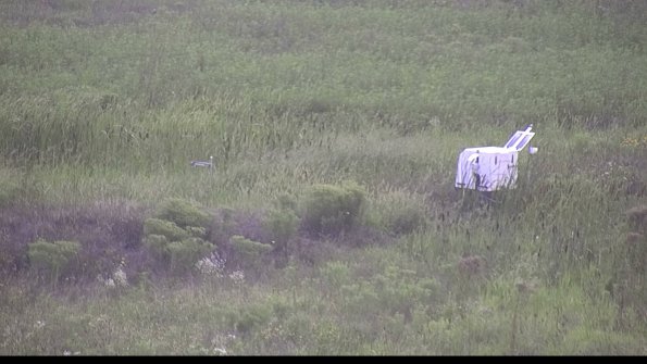 capture-5-23-08-11_19-40-42-05