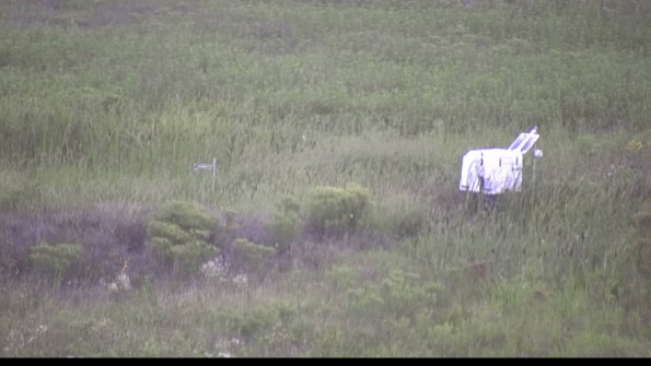 capture-5-23-08-11_19-52-41-94