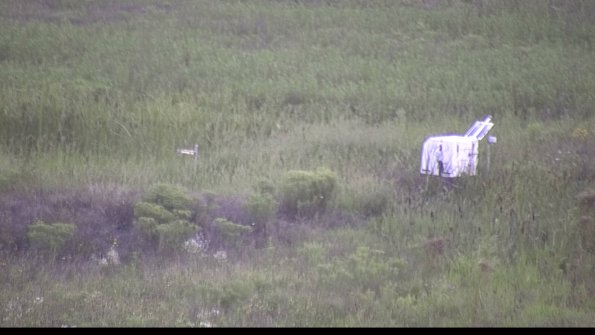 capture-5-23-08-11_20-00-41-99