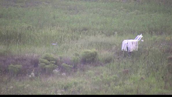 capture-5-23-08-11_20-14-42-07