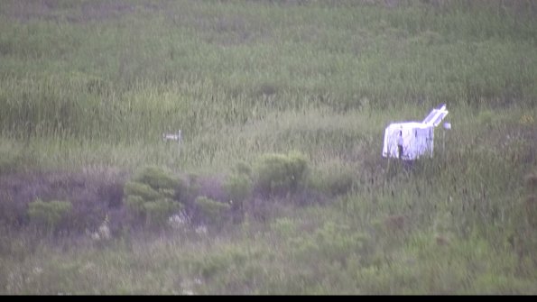 capture-5-23-08-11_20-22-41-98