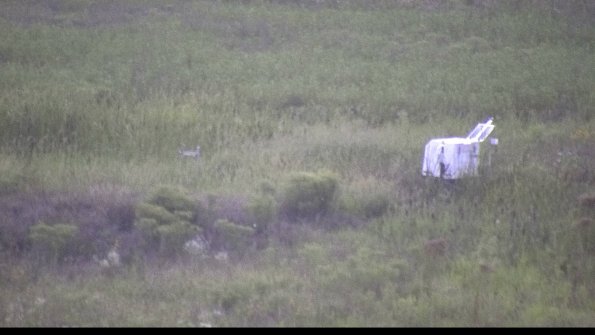 capture-5-23-08-11_20-52-42-73