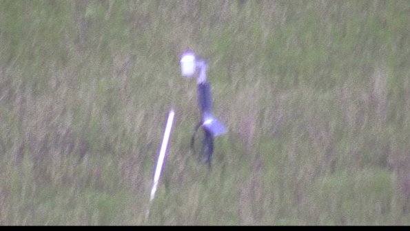 capture-7-23-08-11_20-45-11-71