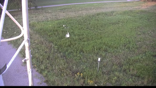 capture-1-23-08-12_07-04-28-06