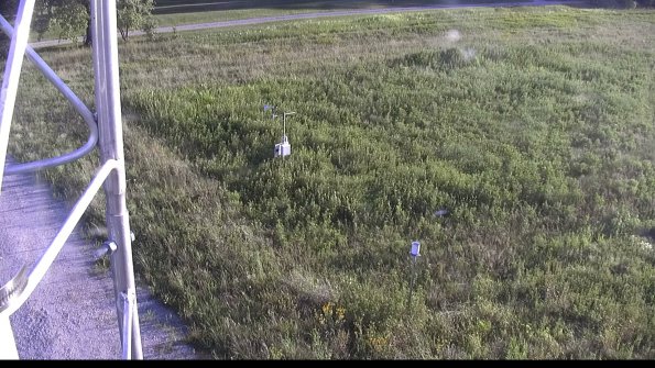 capture-1-23-08-12_19-31-00-06