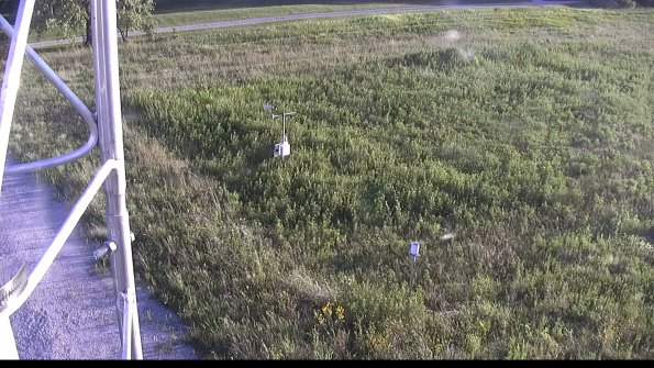 capture-1-23-08-12_19-46-59-83