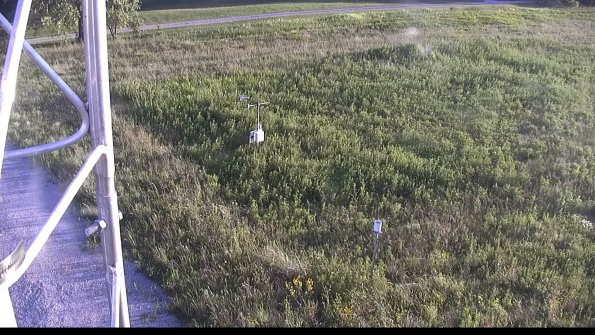 capture-1-23-08-12_19-54-59-81