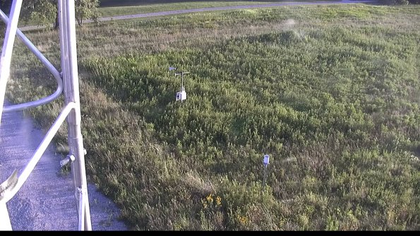 capture-1-23-08-12_19-58-59-78