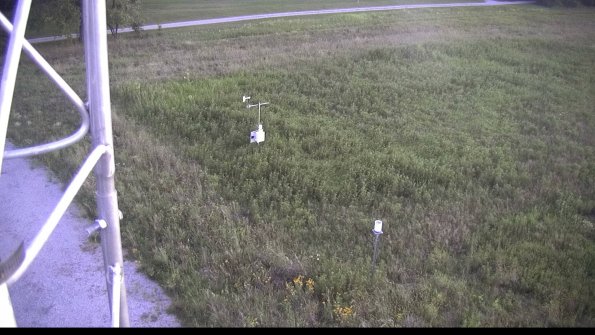 capture-1-23-08-12_20-52-59-50