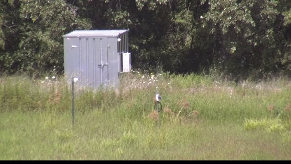 capture-2-23-08-12_14-43-20-06