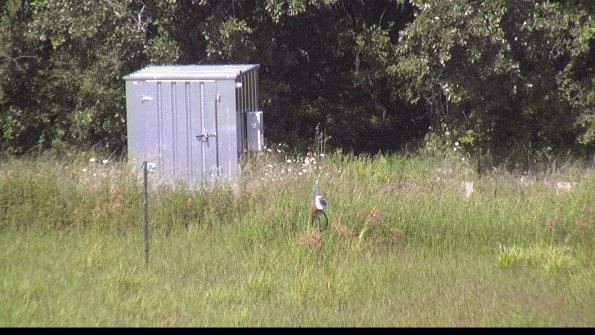 capture-2-23-08-12_15-47-19-55