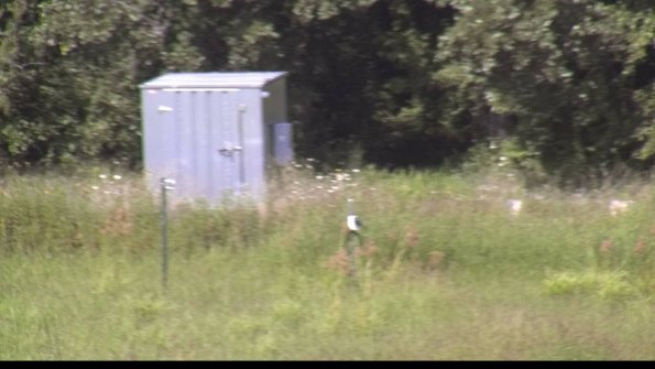 capture-2-23-08-12_16-03-19-61