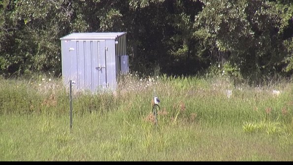 capture-2-23-08-12_16-05-19-63