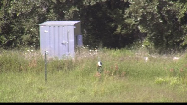 capture-2-23-08-12_16-13-20-01