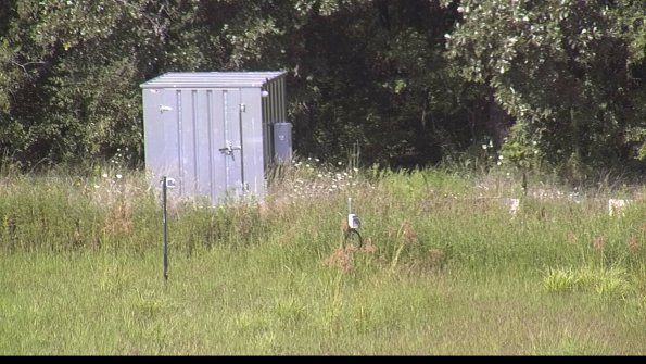 capture-2-23-08-12_16-31-20-07