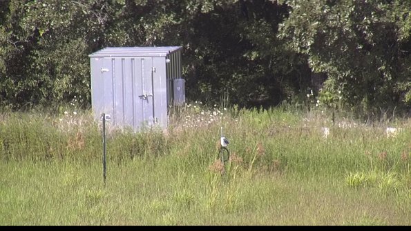 capture-2-23-08-12_16-35-20-24