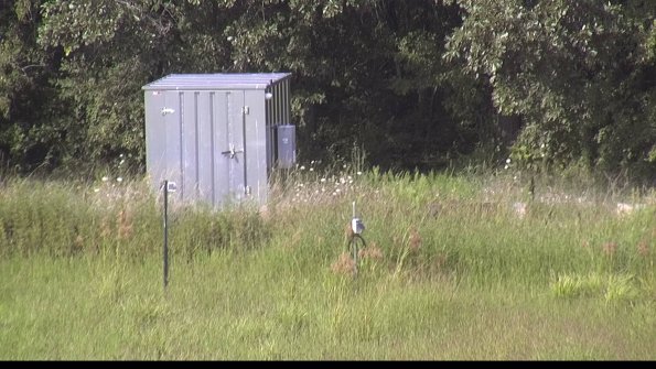 capture-2-23-08-12_17-15-54-59