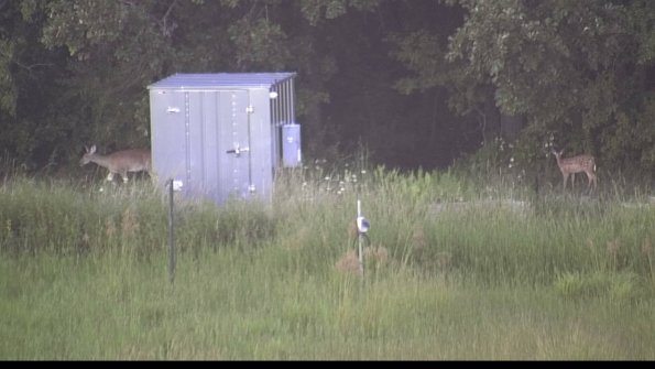 capture-2-23-08-12_20-15-18-09