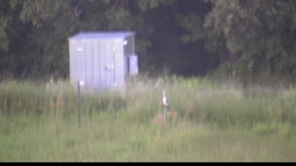 capture-2-23-08-12_20-43-17-68