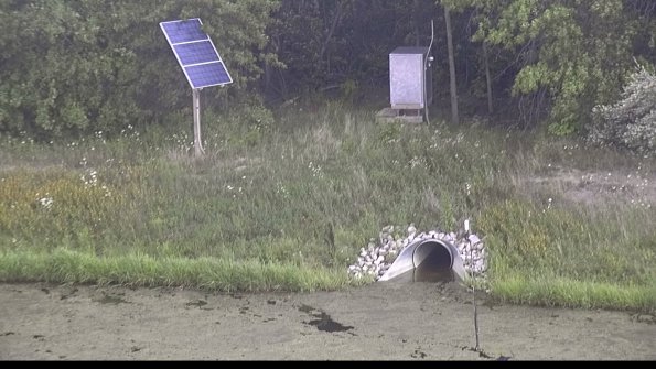 capture-3-23-08-12_15-41-33-00