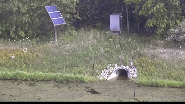 capture-3-23-08-12_15-43-33-12