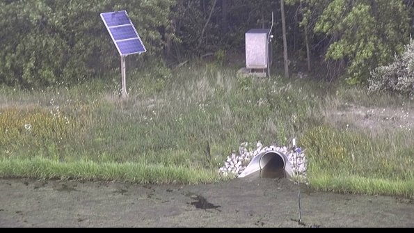 capture-3-23-08-12_16-25-32-88