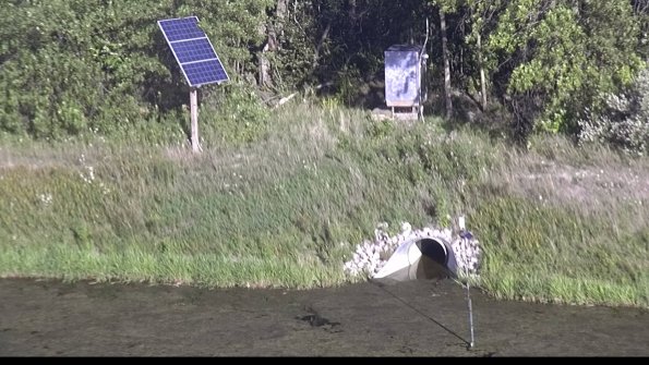 capture-3-23-08-12_18-46-32-98