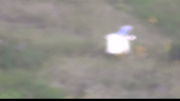 capture-4-23-08-12_07-19-14-62