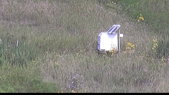 capture-4-23-08-12_09-07-15-50