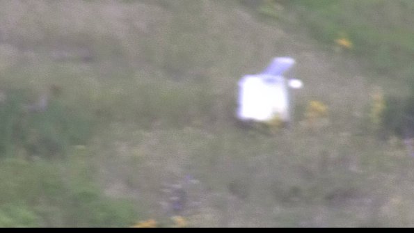 capture-4-23-08-12_09-27-15-87