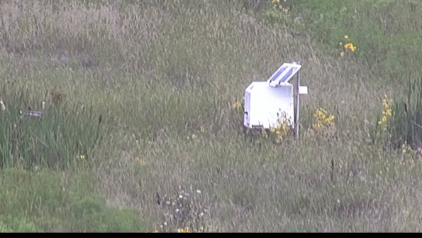 capture-4-23-08-12_10-11-15-59