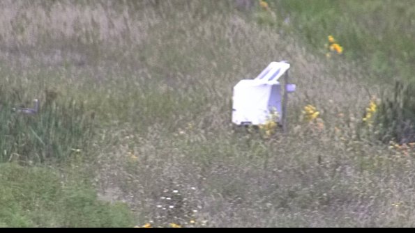 capture-4-23-08-12_12-49-49-35